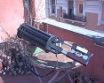 Stunt gun di Milly