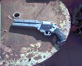 Pistola di Vash